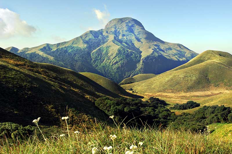 Anamudi Shola National Park