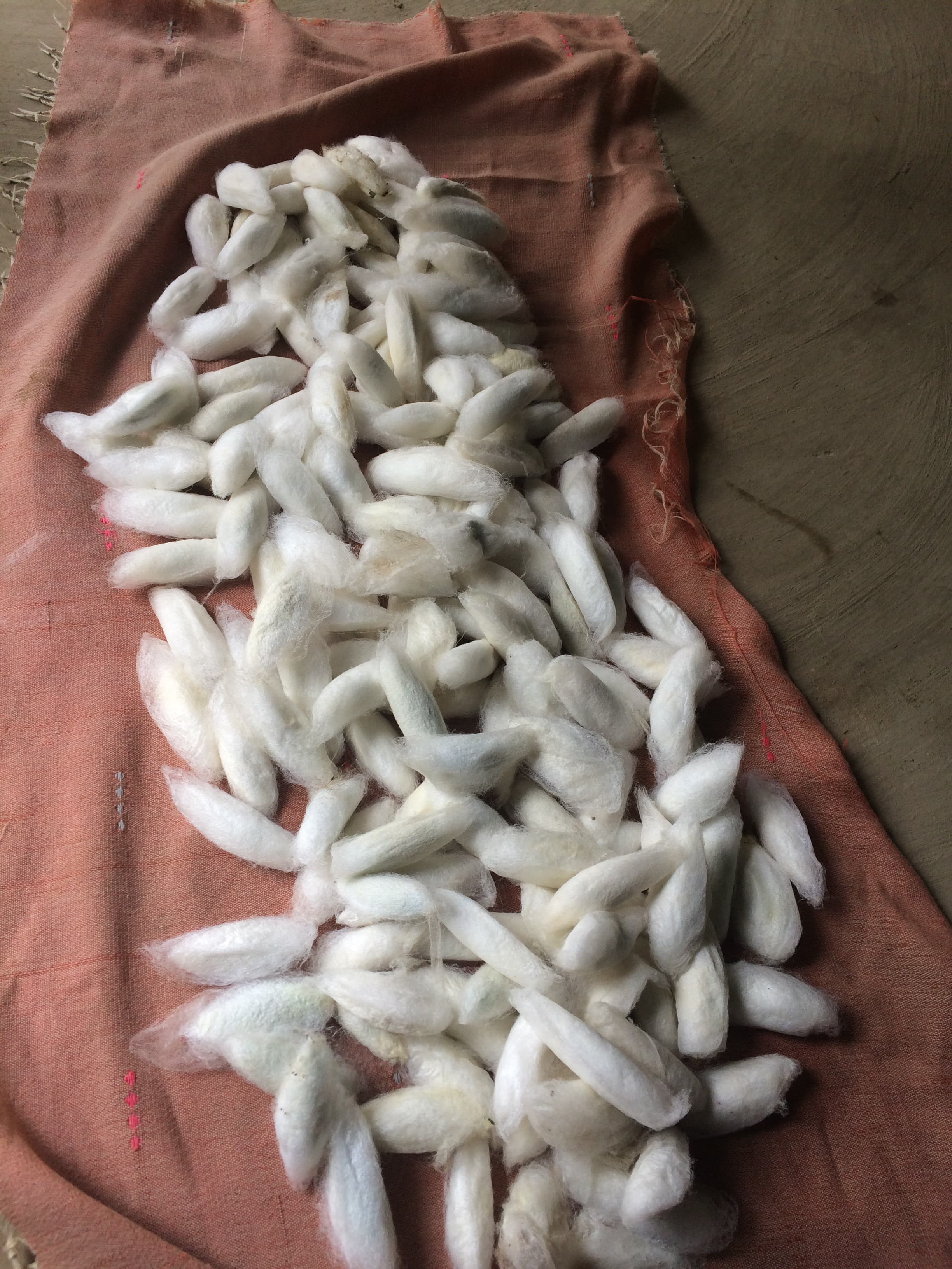 Assam Eri Silk